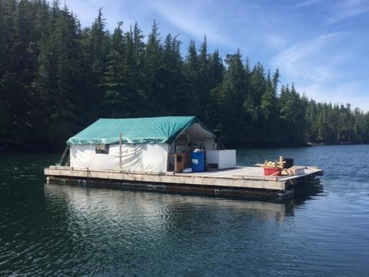 Six Mile River Resort Tagish Eksteriør bilde